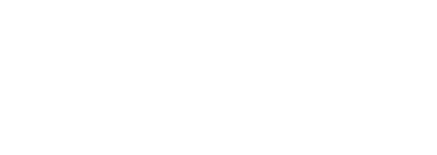 Transcom Logo White